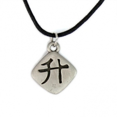 Chinese   Feng Shui Necklace - Sheng