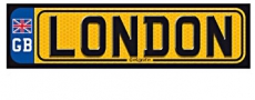 Bumper Sticker for Car