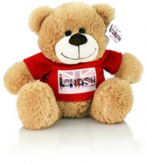Richard Butler 35cm Teddy Bear with Red T Shirt