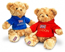 25cm Teddy Bear with Hoodie