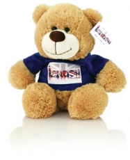 Richard Butler 35cm Teddy Bear with Blue T Shirt