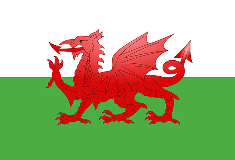 Welsh Souvenirs