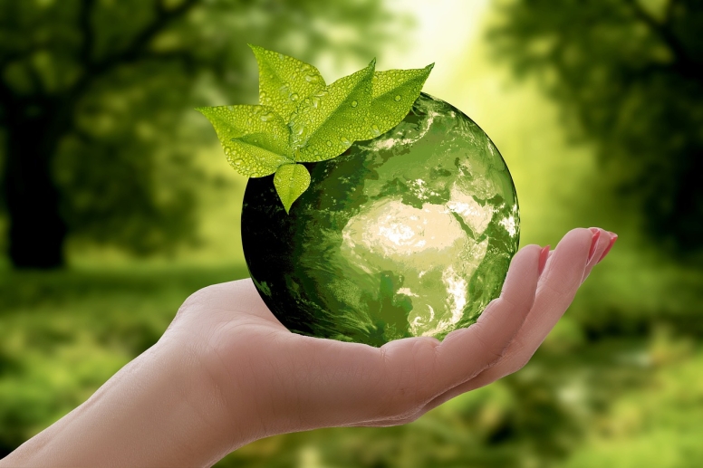 Sustainable Hotels